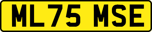 ML75MSE