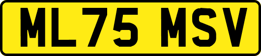 ML75MSV