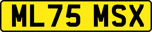ML75MSX