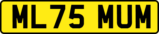 ML75MUM