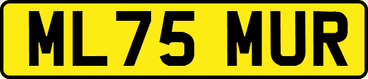 ML75MUR
