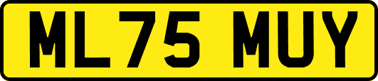 ML75MUY