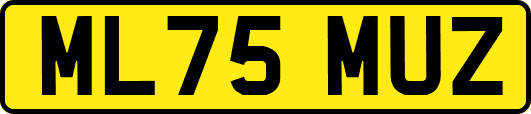 ML75MUZ