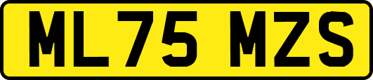 ML75MZS