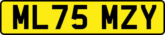 ML75MZY