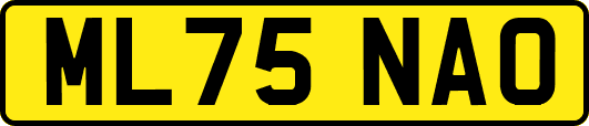 ML75NAO