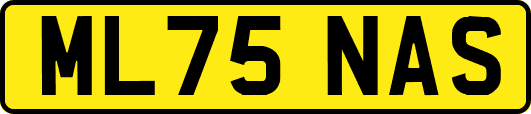 ML75NAS