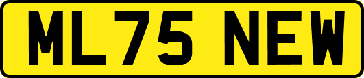 ML75NEW