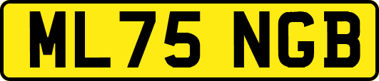 ML75NGB