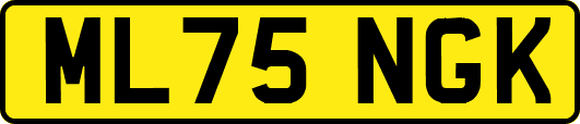ML75NGK