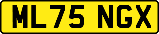 ML75NGX