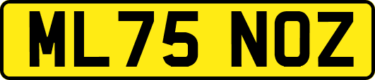 ML75NOZ