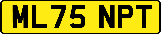 ML75NPT