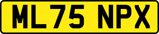 ML75NPX