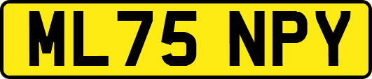 ML75NPY