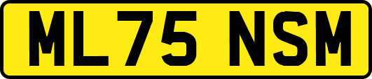 ML75NSM