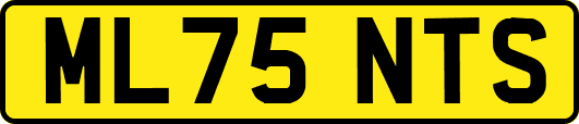 ML75NTS