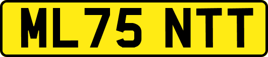 ML75NTT