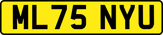 ML75NYU