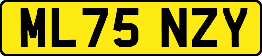 ML75NZY