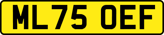 ML75OEF