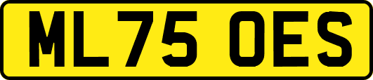 ML75OES