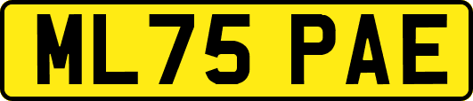 ML75PAE