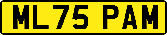 ML75PAM