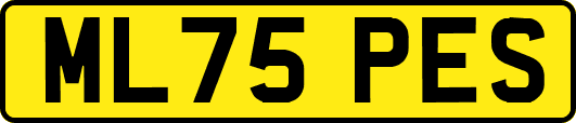 ML75PES