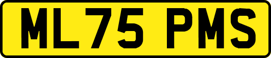 ML75PMS