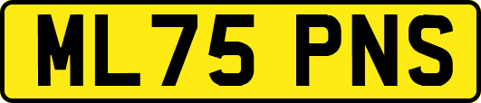 ML75PNS