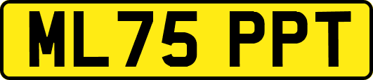 ML75PPT