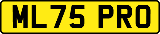 ML75PRO
