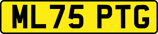 ML75PTG