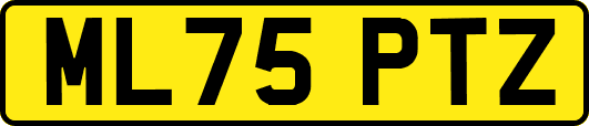 ML75PTZ