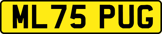 ML75PUG