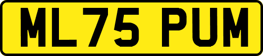 ML75PUM