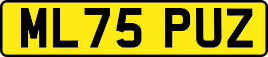 ML75PUZ