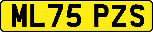 ML75PZS