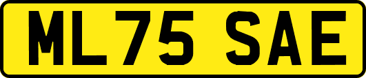 ML75SAE