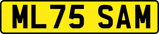 ML75SAM