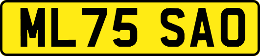 ML75SAO