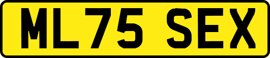 ML75SEX