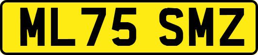 ML75SMZ