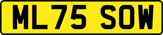 ML75SOW
