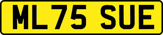 ML75SUE