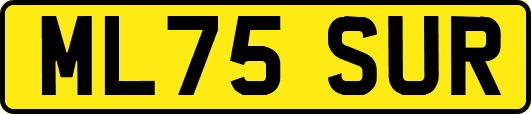ML75SUR