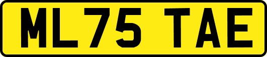 ML75TAE