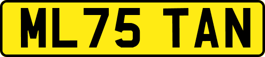 ML75TAN