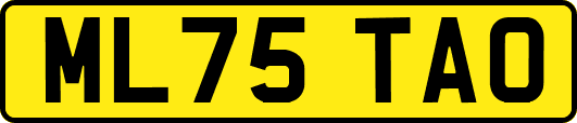 ML75TAO